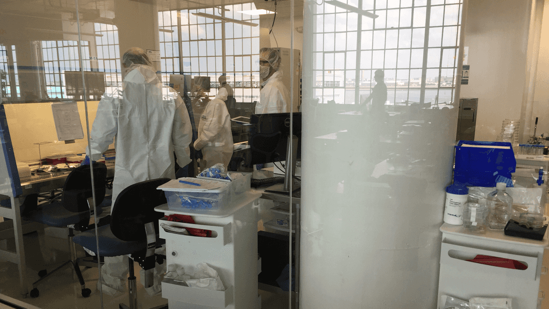 People standing inside of a biology lab, looking into a biohood