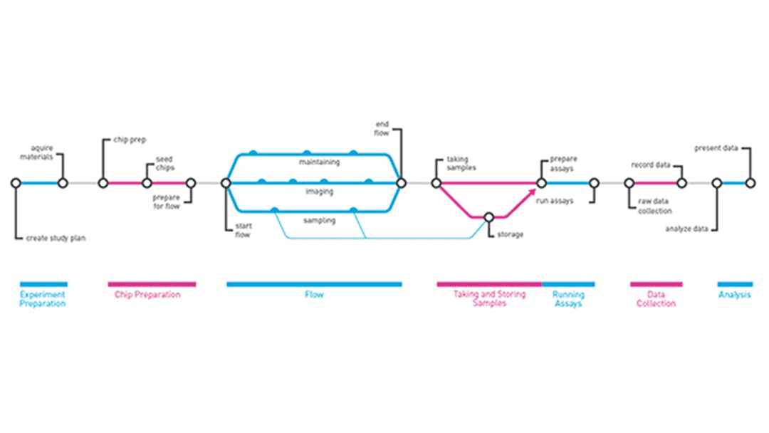 Process diagram of steps to conduct do an Organs-on-Chips experiment